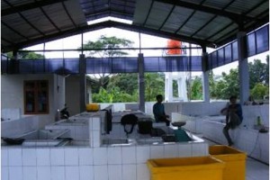 Pasar Ikan Oleced